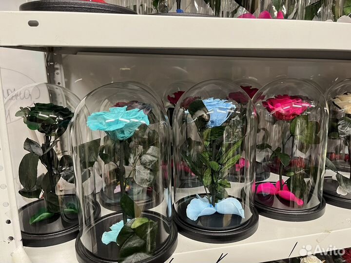 Вечная роза в колбе