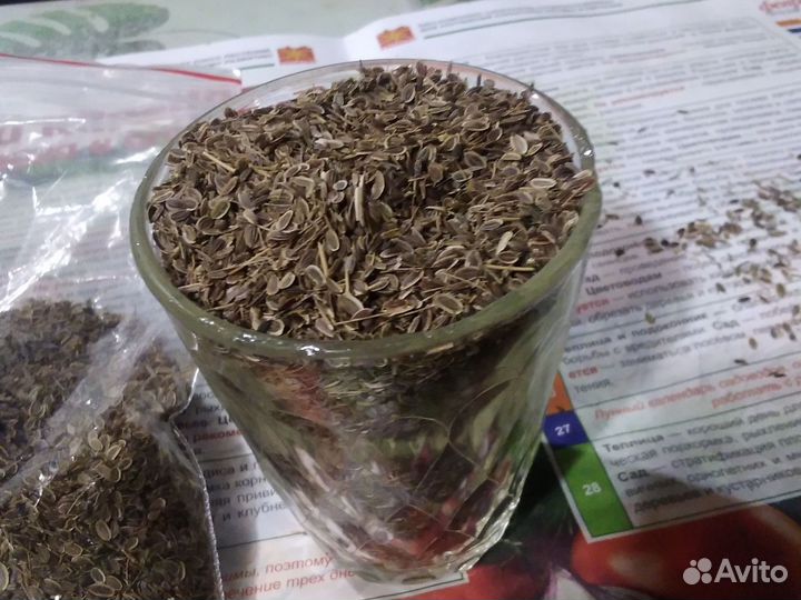 Семена укропа