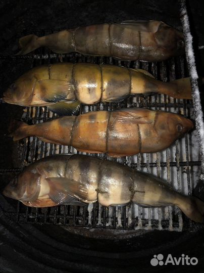 Рыба и мясо горячего копчения