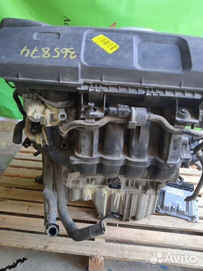 Двигатель BLF fsi 1.6 Volkswagen