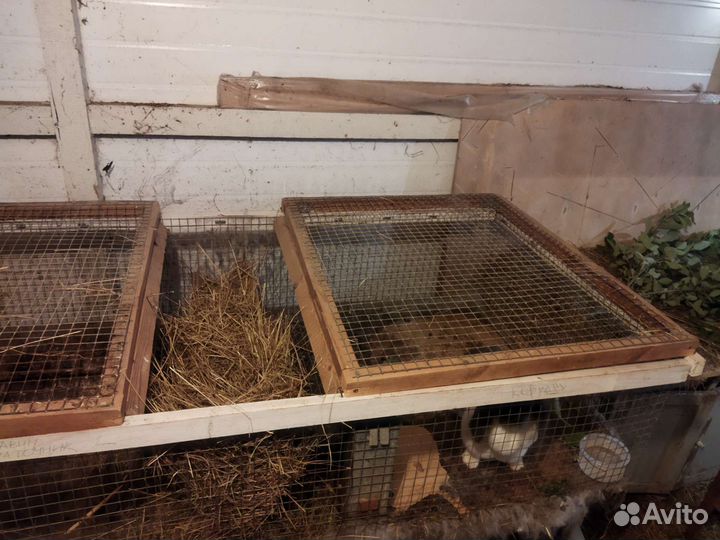 Клетки для кролика
