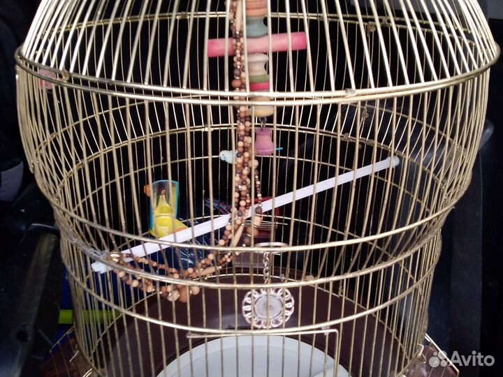 Клетка для попугая