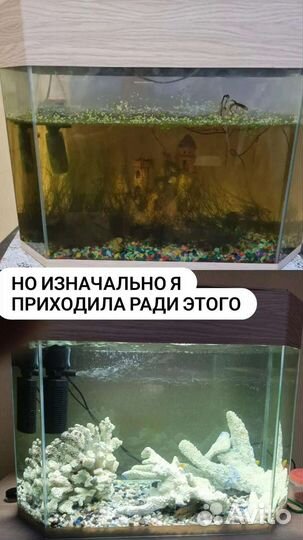 Чистка аквариума