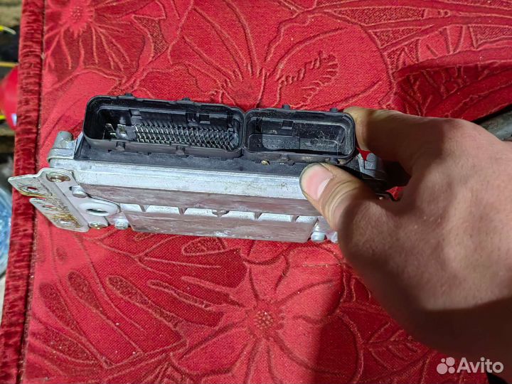 Эбу мозги на заз шанс