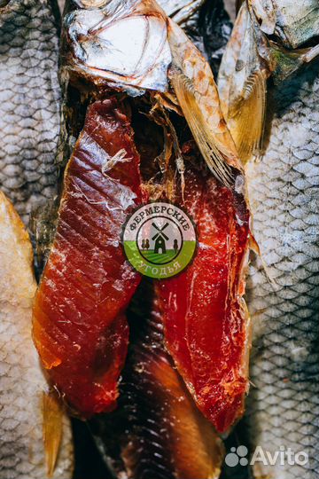 Рыба северная Язь Щука Щекур Мохтик Лещ Сырок