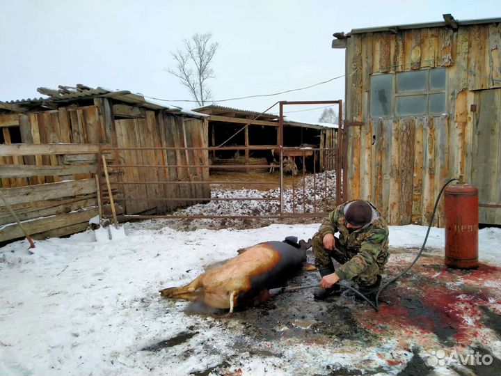 Продукты питания
