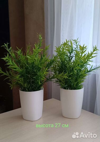 Искусственные растения