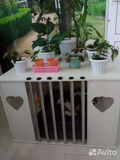 Домик для собаки