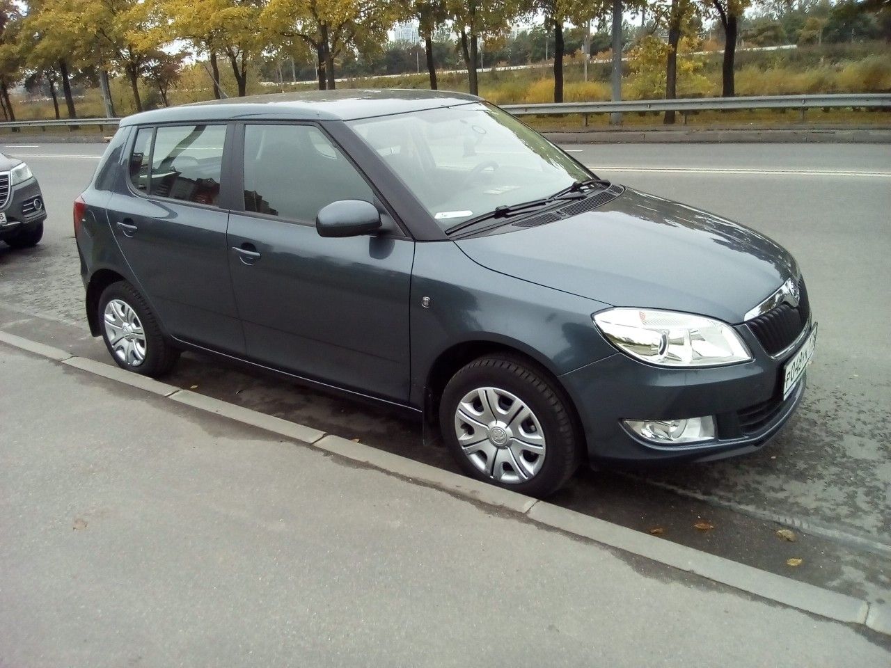 Skoda Fabia: фото владельца