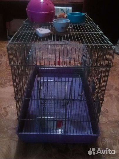 Клетка для грызунов