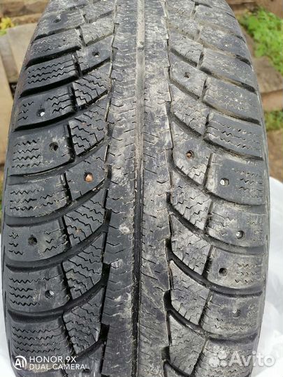 Gislaved Nord Frost 5 195/65 R15