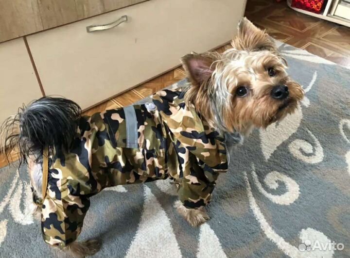 Дождевик для собаки