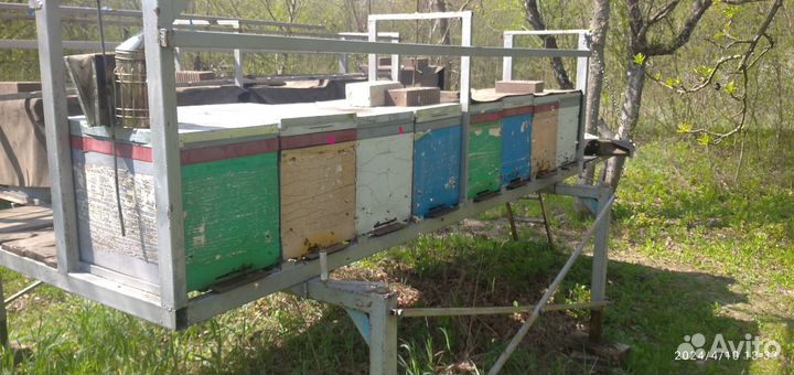 Пчелоплатформа с ульями