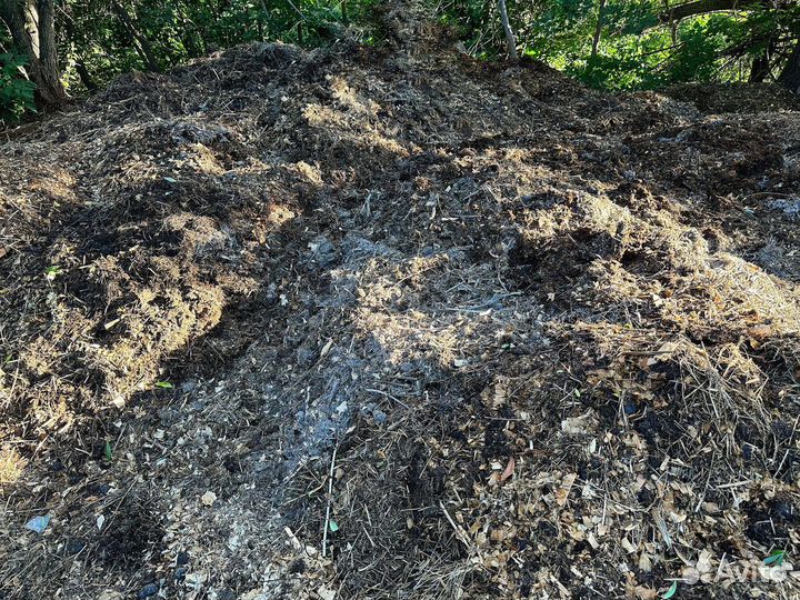 Конский Навоз