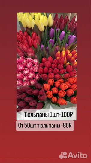 Тюльпаны к 8 марта 2024 г оптом
