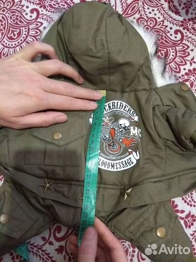 Бежевый и зеленый пуховички для маленьких собак, н