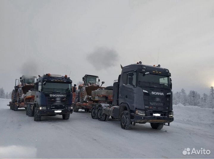 Услуги трала