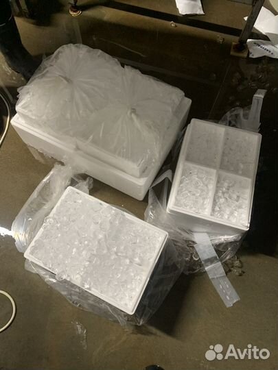 Икра форели оплодотворенная