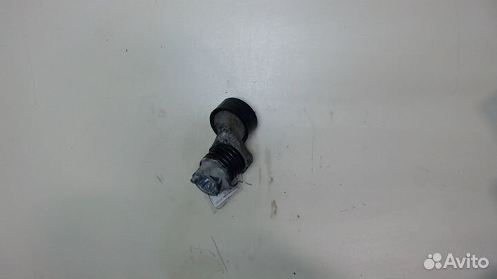 Натяжитель приводного ремня Dacia Sandero 2012, 20