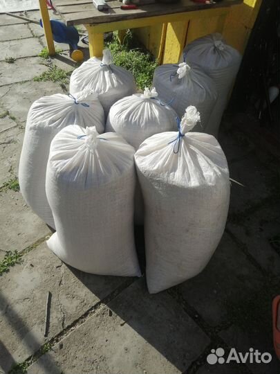 Рис кормовой