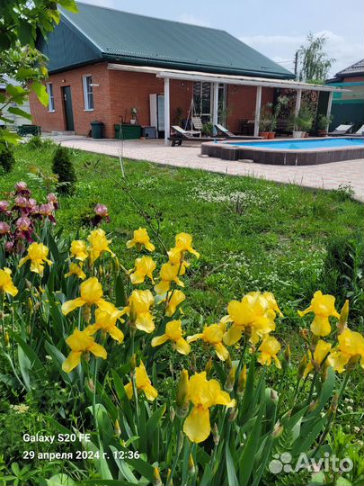 Дом с баней и теплым бассейном