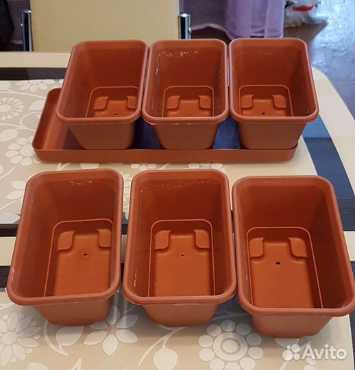 Контейнер для рассады или домашнего огорода