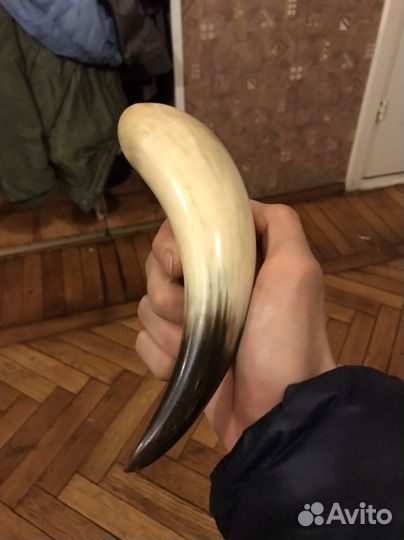 Рог для вина