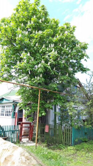 Дом 75 м² на участке 15 сот.