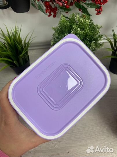 Контейнеры Tupperware «Акваконтроль» 2,1 л и 2,9 л