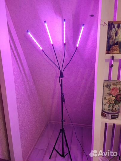 Фито лампа для растений