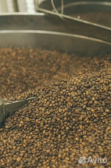 Makala - свежеобжаренный ароматный кофе опт 6 кг