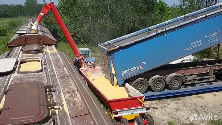 Погрузка насыпью зерна и масличных культур в вагон