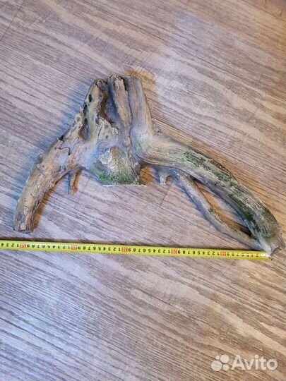 Декорации для аквариума,растения