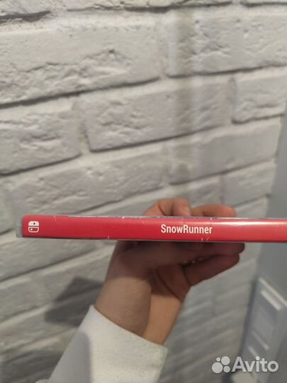 Snowrunner Nintendo Switch