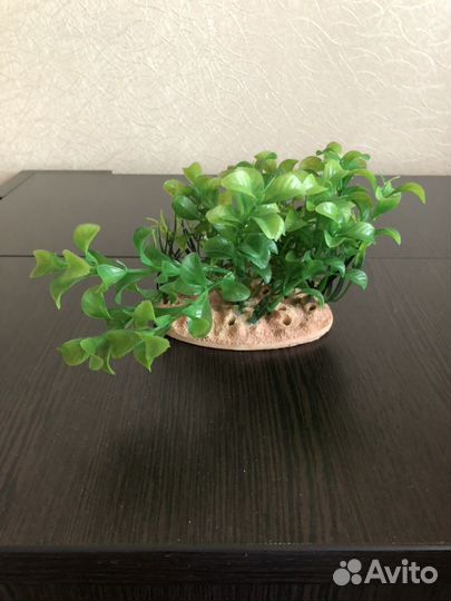 Декор для аквариума