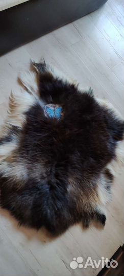 Шкура козы длинношеостная