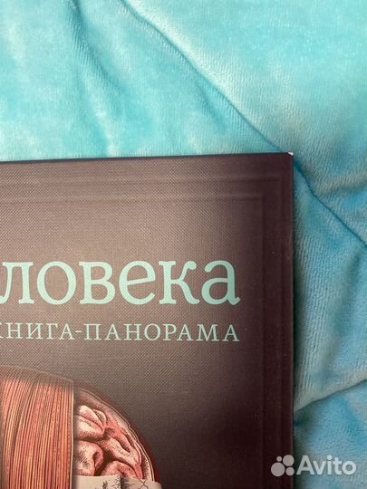 Тело человека интерактивная книга Миф