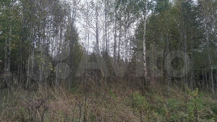 Участок 13,4 сот. (СНТ, ДНП)