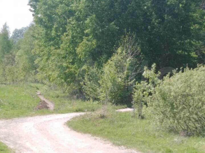 Участок 30 сот. (ИЖС)