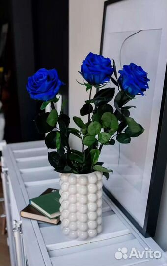 Живые не вянущие цветы