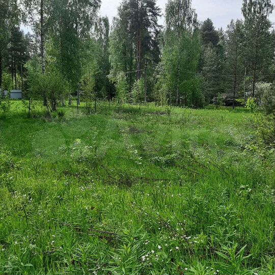 Участок 16,5 сот. (ИЖС)