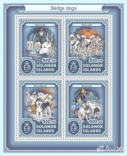 Соломоновы о-ва, 2017. (slm17210) Ездовые собаки