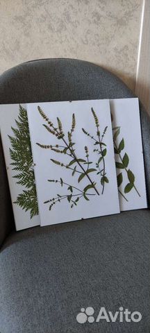 Интерьерный гербарий