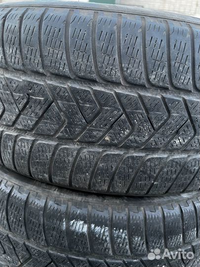 Pirelli Scorpion Winter 265/50 R19 192W