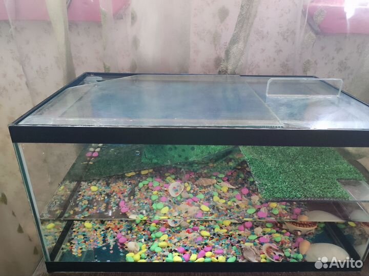Аквариум для черепах на 25 литров