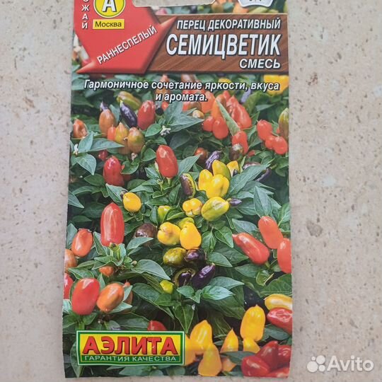 Перец комнатный острый