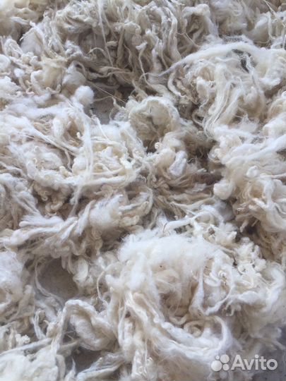 Шерсть овечья мытая