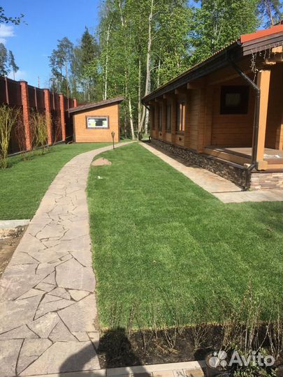 Рулонный газон