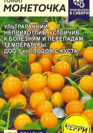 Рассада томатов черри