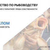 Агентство по рыбоводству в городе Цхинвал, Цхинвал